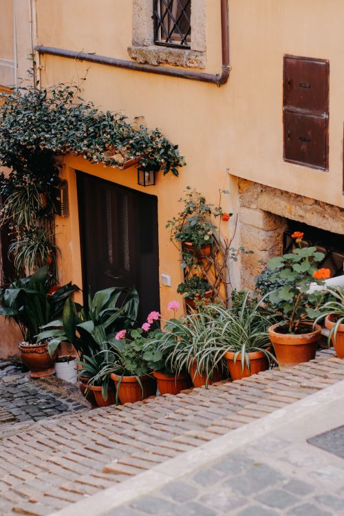 Free Brick alley with vibrant potted plants and rustic architecture, evoking a quaint urban charm. Stock Photo