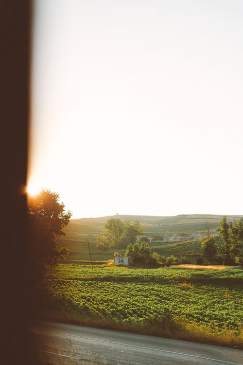Free Peaceful countryside with fields and trees at sunset, perfect for relaxing scenery. Stock Photo