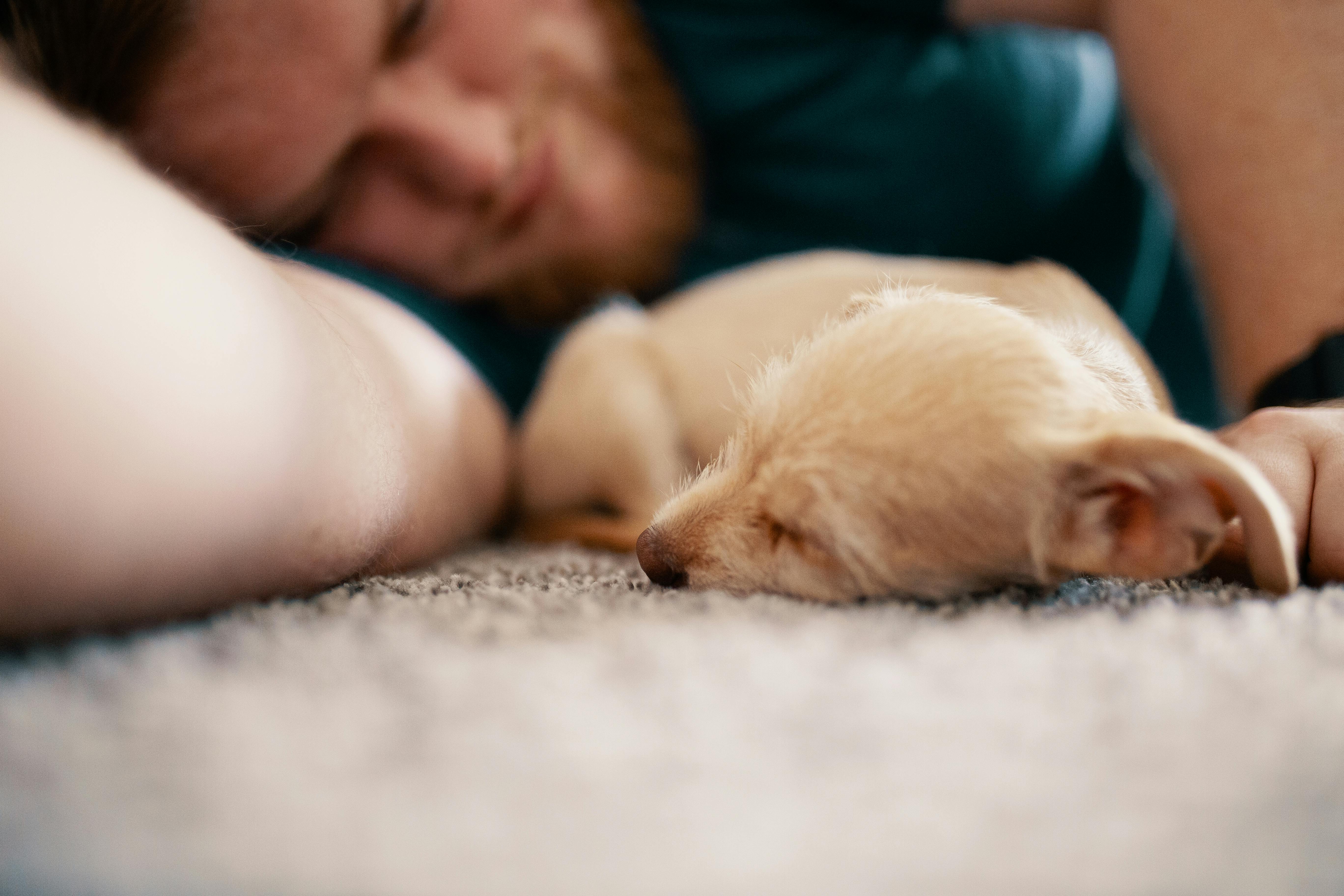 close up photo of dog sleeping beside man