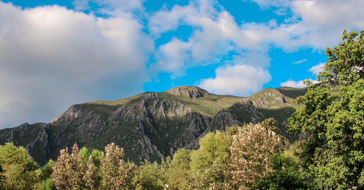 Breathtaking view of lush forests and majestic mountains under a vibrant sky in Monterrey, Mexico.