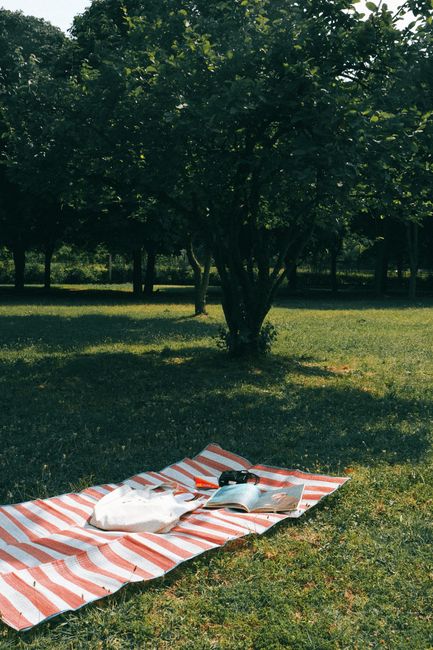A tranquil park scene with a striped blanket and book under a tree, perfect for relaxation.