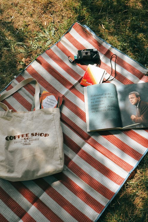 Bag and Book with Poems on Picnic Blanket