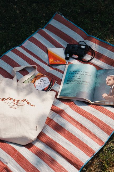 A relaxing picnic setup with striped blanket, books, and camera outdoors.