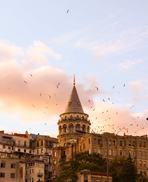 Imagine de stoc gratuită din arhitectură otomană, călătorie, curcan