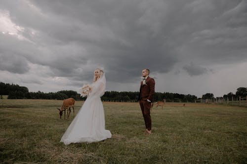 Newlyweds Posing on Pasture with Deer