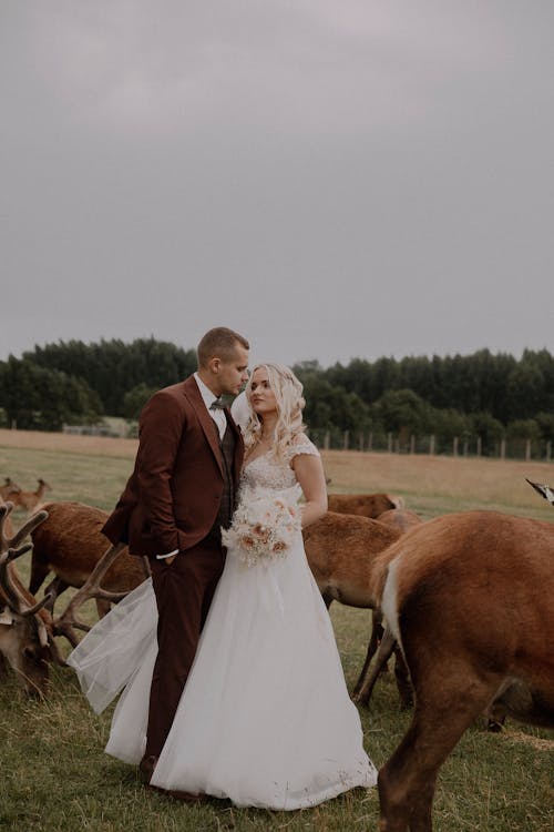 Newlyweds Posing among Deer
