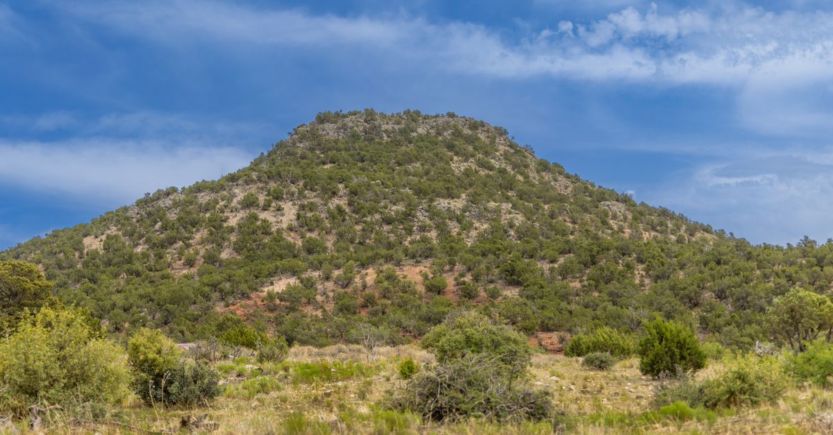 Verdant hill in El Paso, Texas under a clear blue sky showcasing natural beauty.