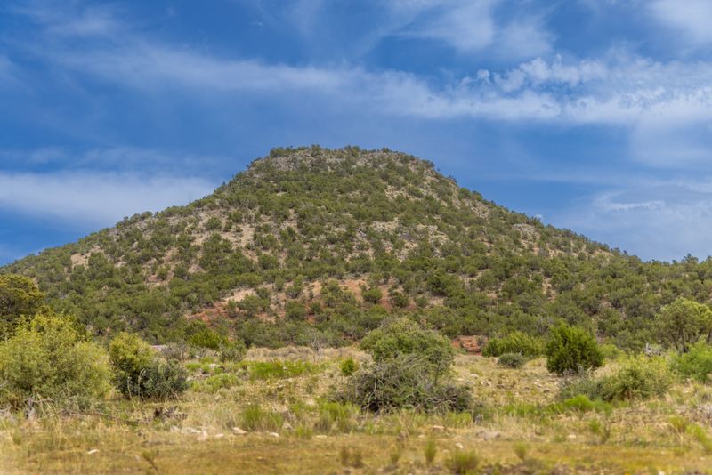 Verdant hill in El Paso, Texas under a clear blue sky showcasing natural beauty.