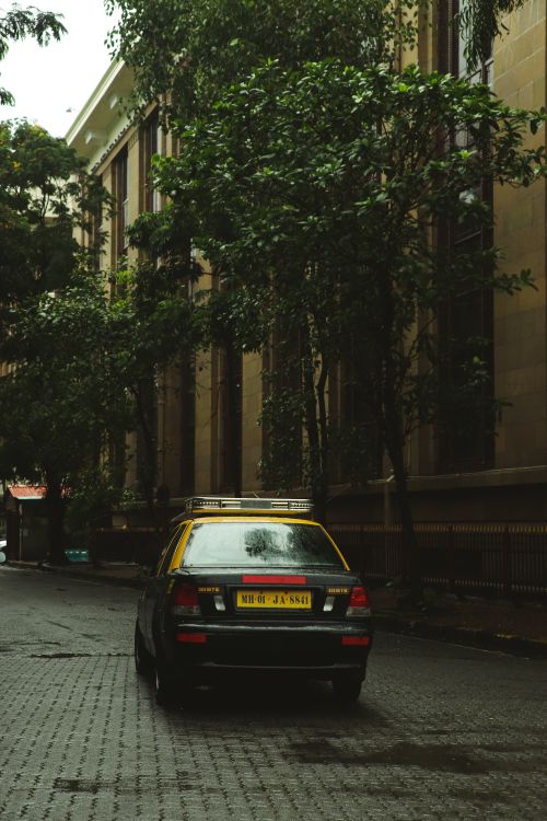 Free A lone taxi on a tree-lined urban street, creating a serene cityscape. Stock Photo