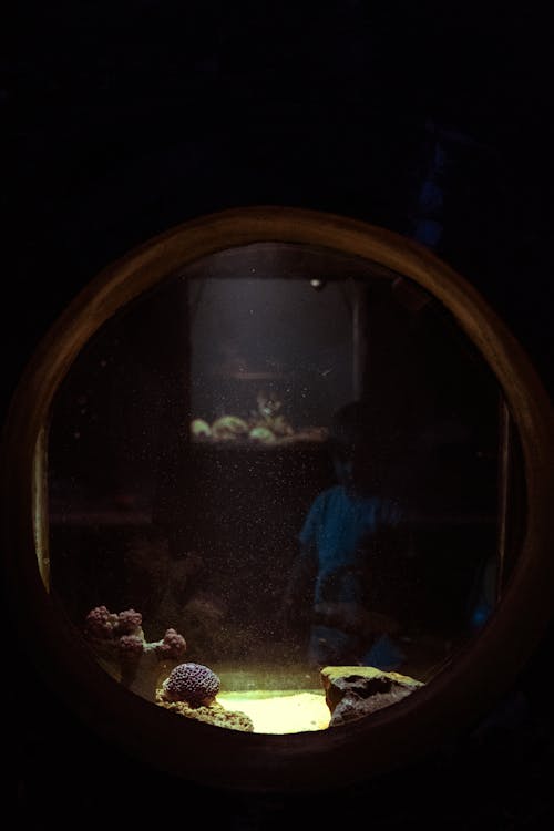 Child Reflecting in a Round Aquarium Window