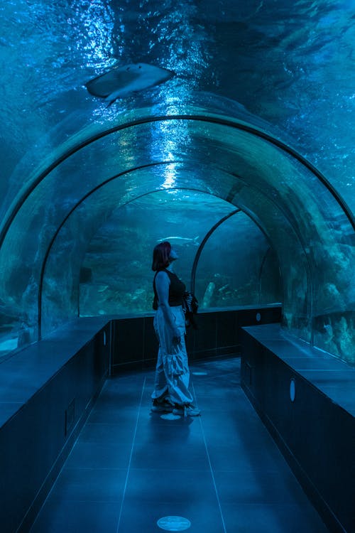 Woman Admiring Sea Life in Aquarium