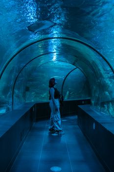 A woman explores an underwater tunnel in an aquarium, observing sea life.