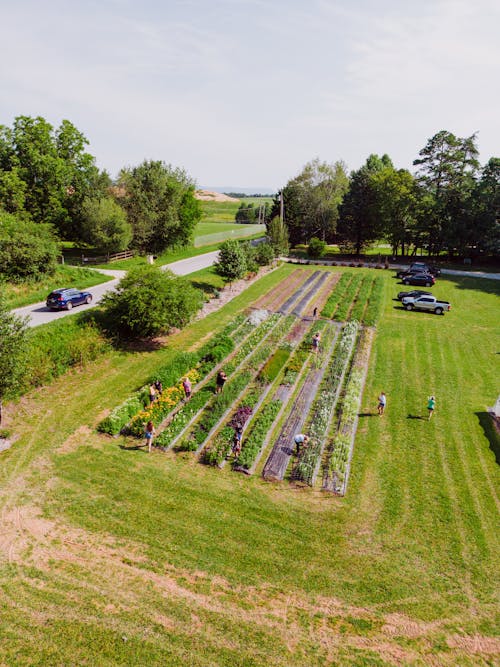 Drone Shot of Vegetable Garden in Countryside