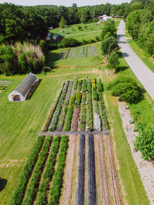 Free Scenic aerial shot of vibrant farmland and crops in Chickamauga, Georgia during summer. Stock Photo