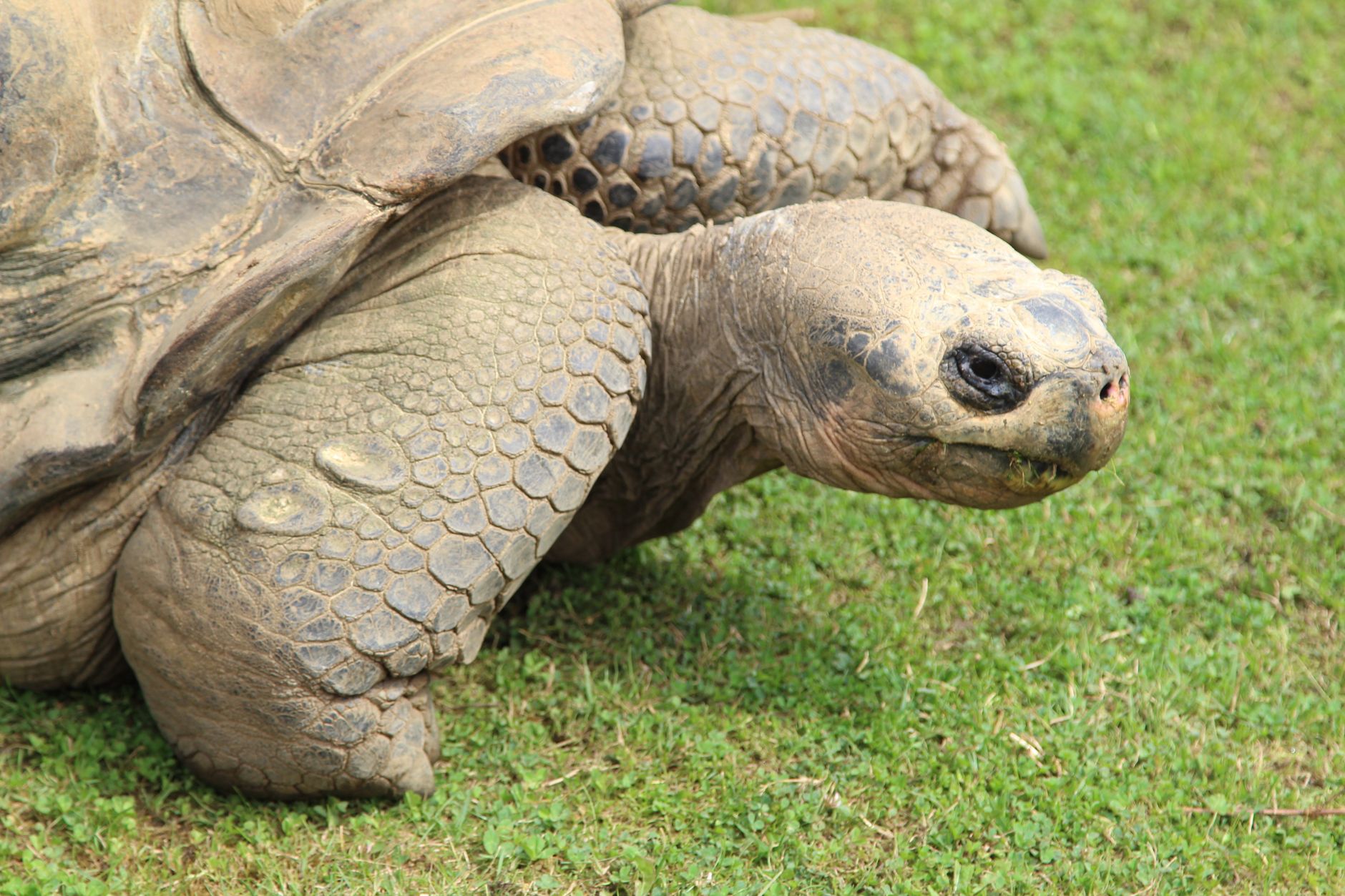 Galápagos, Ecuador