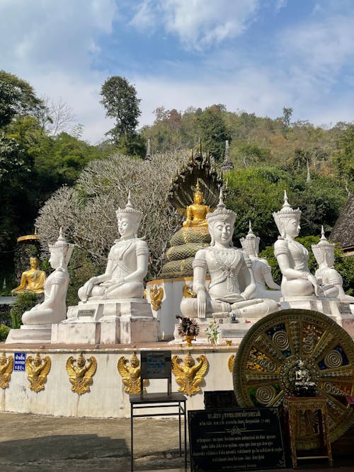 Statue of 5 gods, in the center is a Naga Buddha statue.
