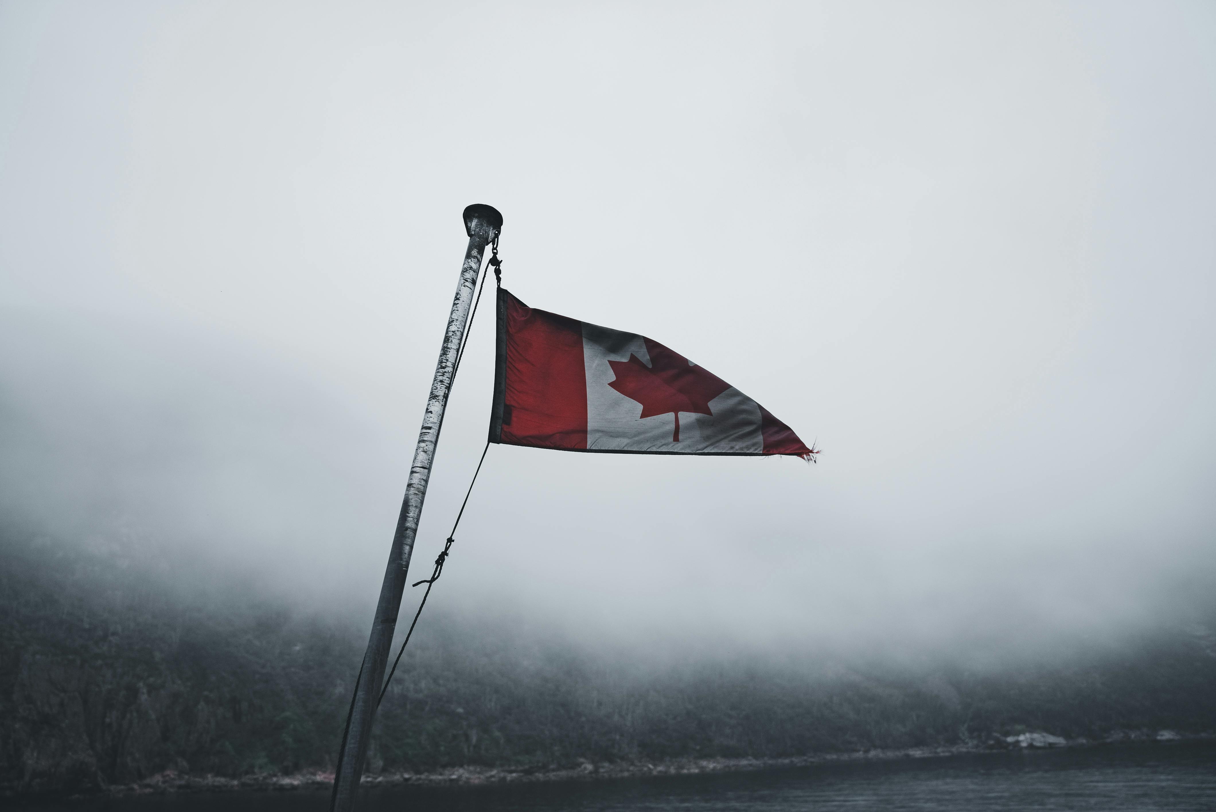 How psychologists can spot red flags in mental health apps — Photo by Erik Mclean on Pexels