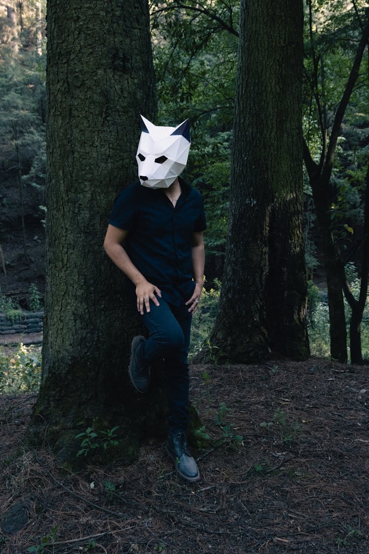 Man In A Black Shirt Standing In Forest In A Tapir Paper Mask