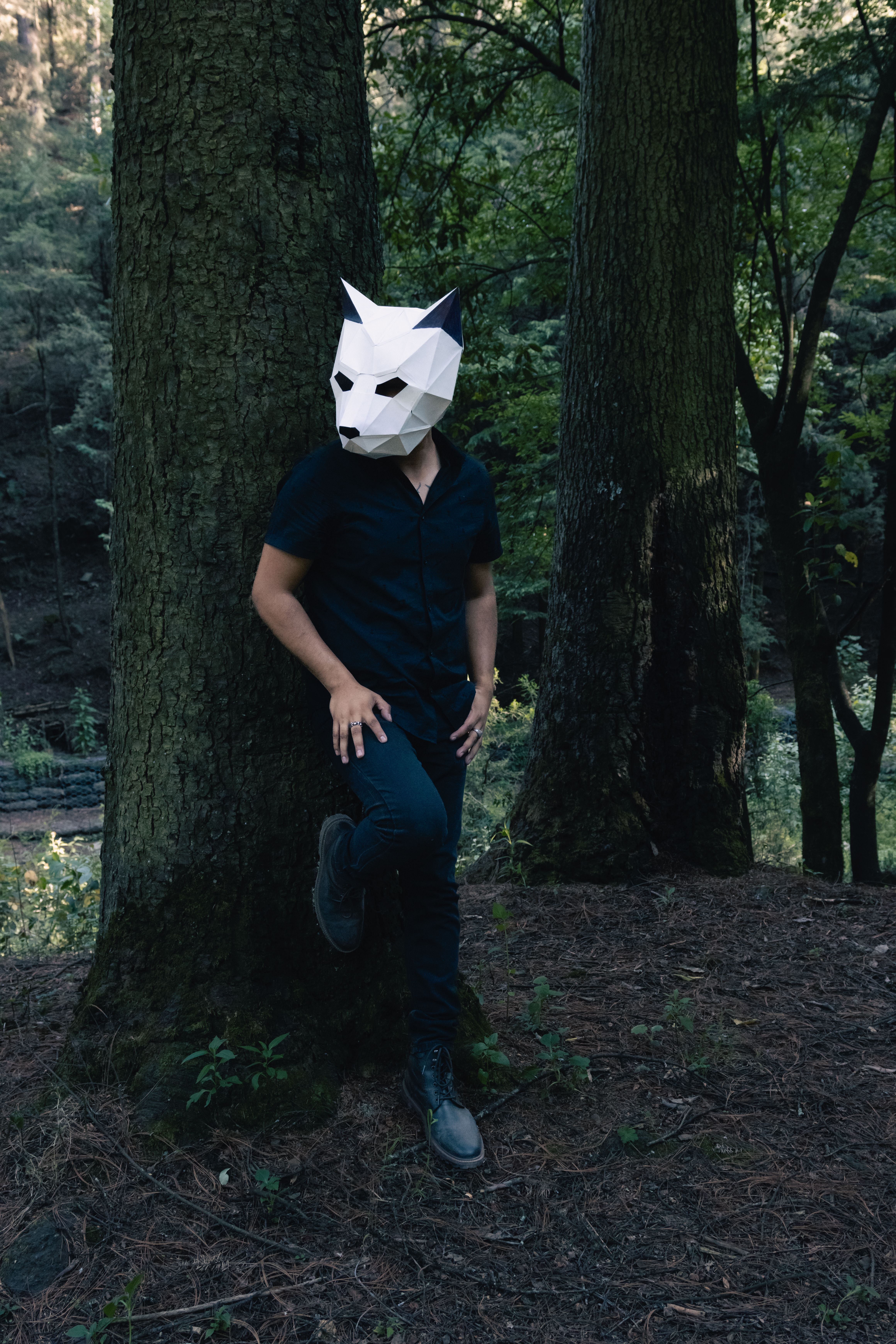 Man in a Black Shirt Standing in Forest in a Tapir Paper Mask · Free ...