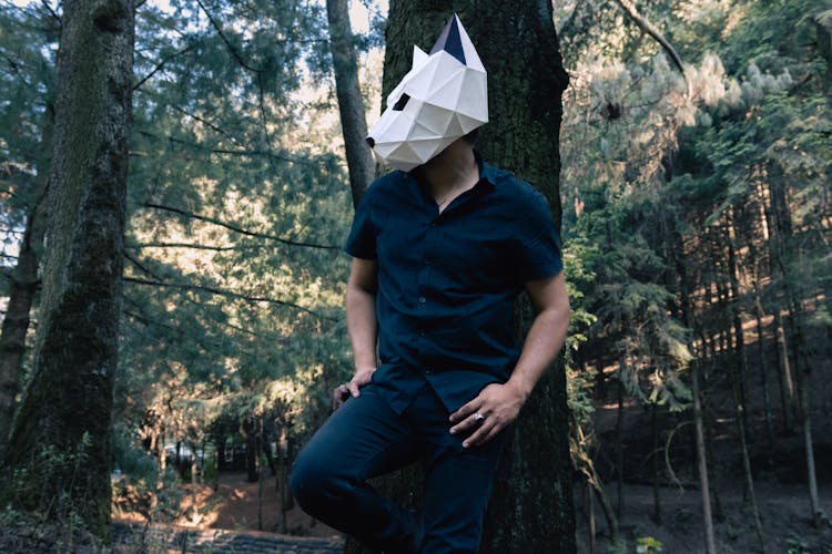 Man In A Black Shirt Standing In Forest In A Tapir Paper Mask