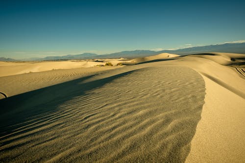 Ilmainen kuvapankkikuva tunnisteilla aavikko, hiekkadyynit, kirkas taivas
