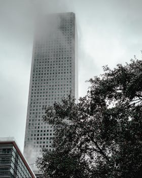 雾中，高耸的摩天大楼以树木为背景的城市逐渐消失