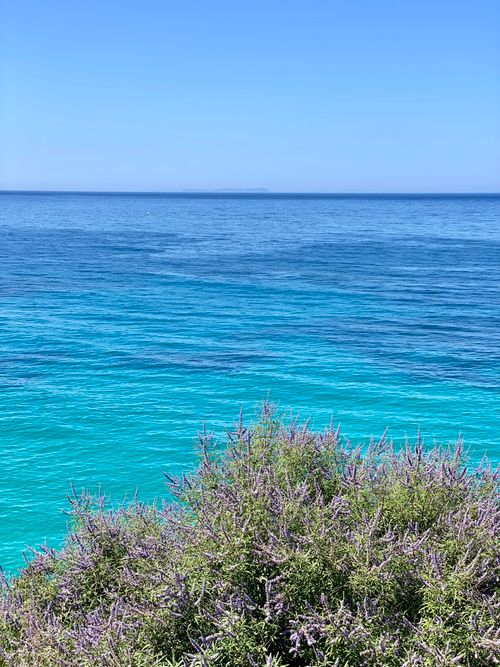 Free Vibrant turquoise sea meets floral coastline in Himarë, Albania. Stock Photo
