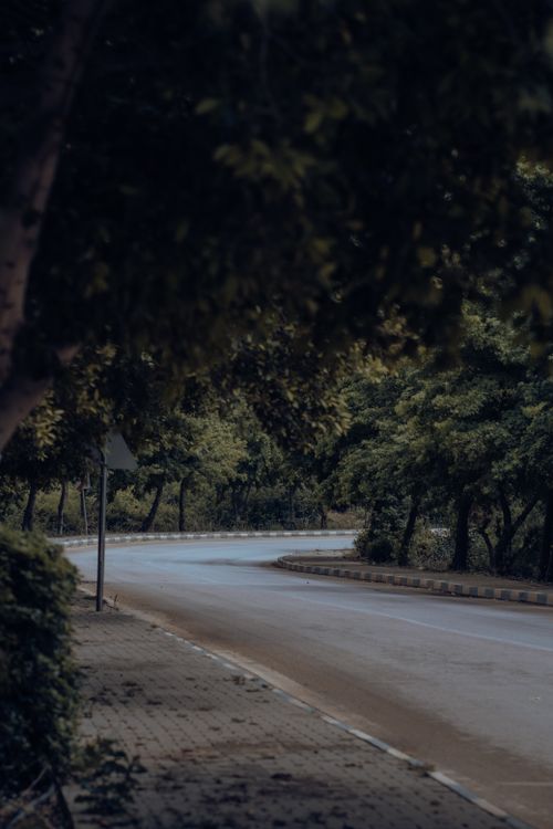 Free A tranquil curved road surrounded by lush forest in Antalya, Türkiye. Perfect for travel and nature themes. Stock Photo