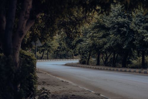 Free A quiet curved road bordered by lush trees under a tranquil sky in Antalya, Türkiye. Stock Photo