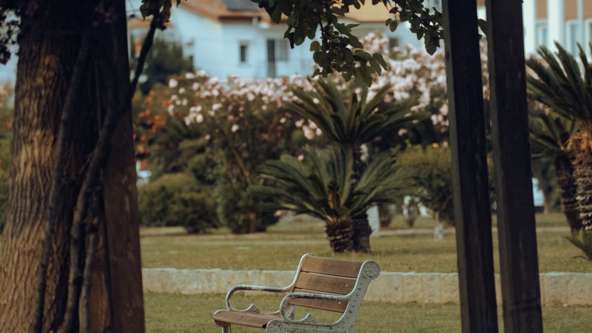Les bienfaits de la thérapie par la nature en milieu urbain