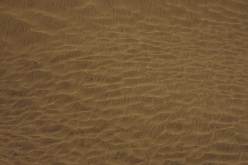 Free Detailed rippling sand patterns creating a serene, natural landscape in Antalya, Türkiye. Stock Photo