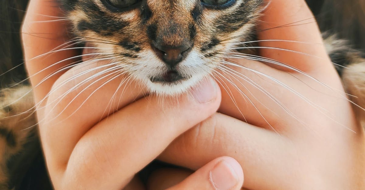 小彩券、大善念,用愛溫暖社會角落 ❤️🌟