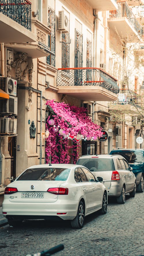 Cars Parked in a City 