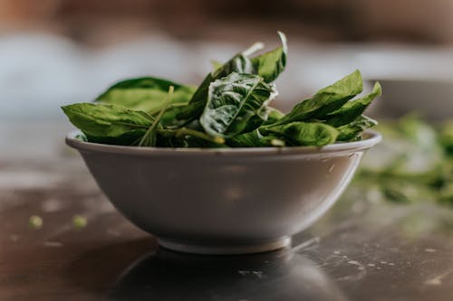 Green Leaves in White Ceramic Bowl