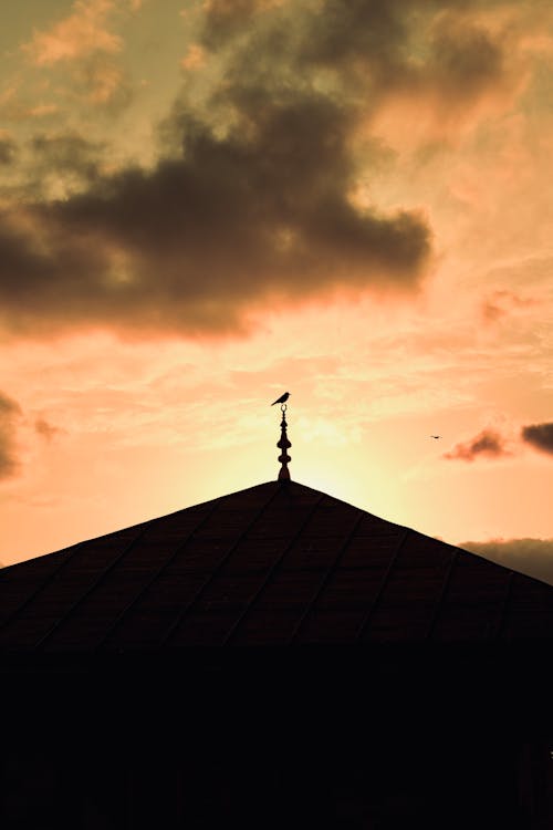 Безкоштовне стокове фото на тему «вертикальні постріл, дах, Захід сонця»