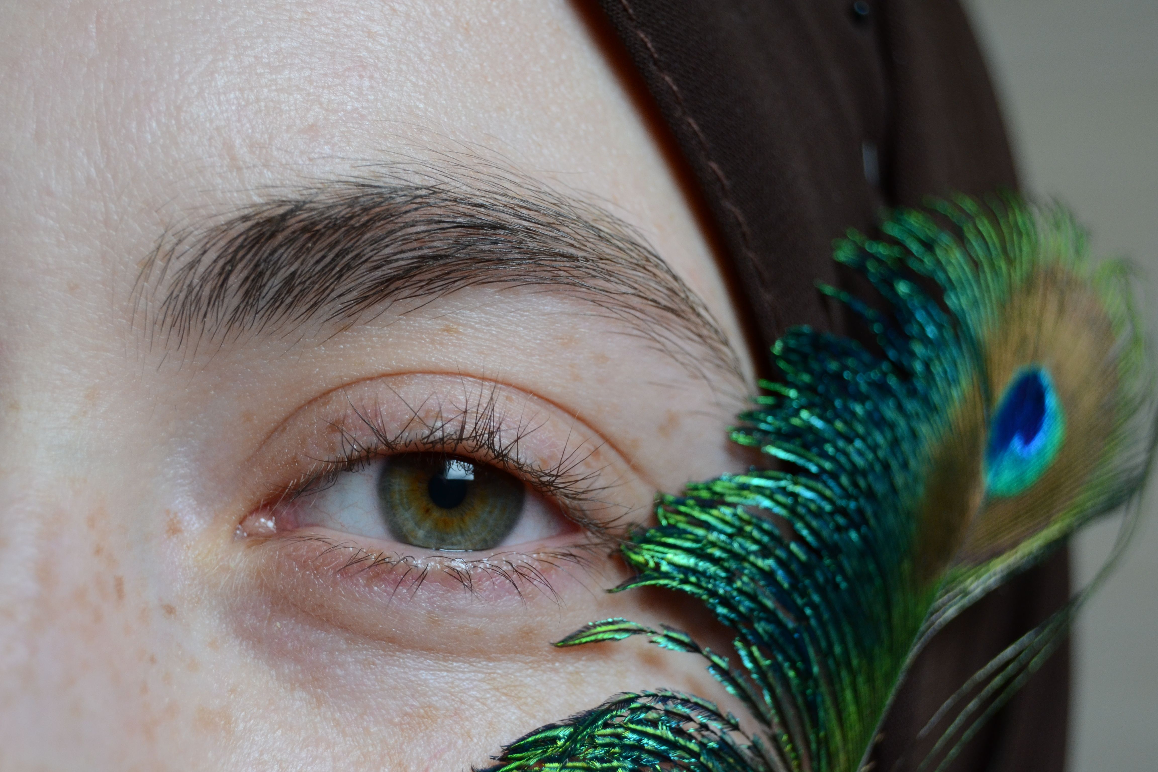 Extreme close-up of a hazel eye with a vibrant peacock feather.