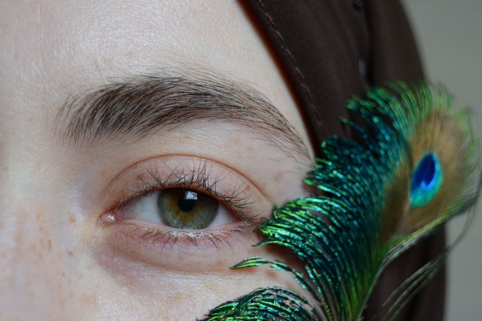 Extreme close-up of a hazel eye with a vibrant peacock feather.