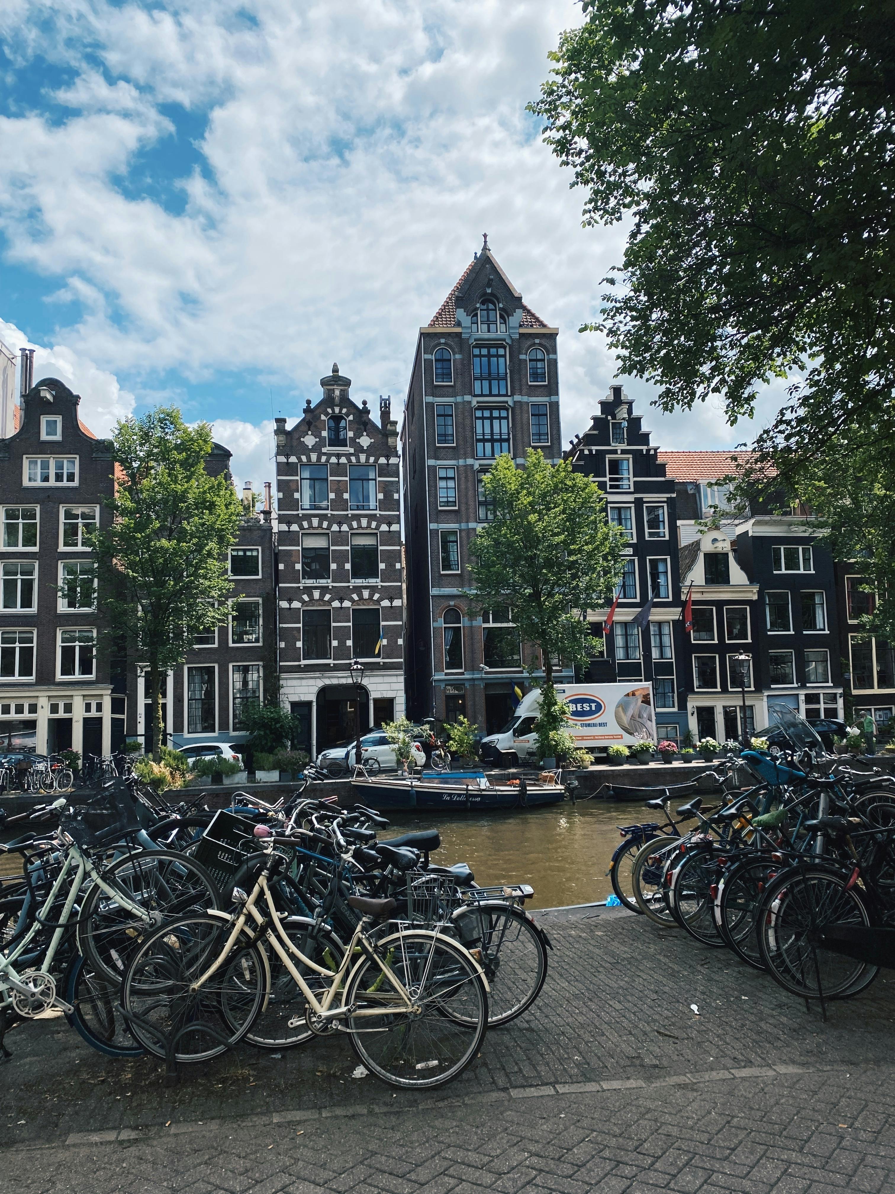 20,000+张最精彩的“阿胶”图片 · 100免费下载 · Pexels素材图片