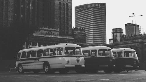 Ilmainen kuvapankkikuva tunnisteilla bussit, julkinen liikenne, katu