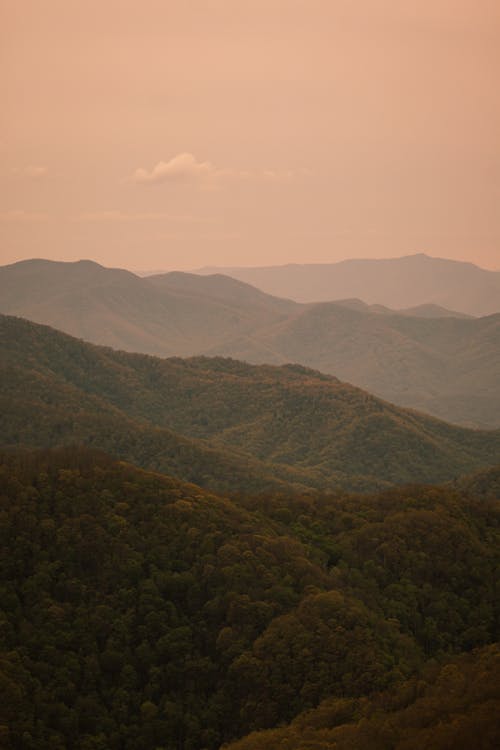 Бесплатное стоковое фото с вертикальный выстрел, восход, горные склоны