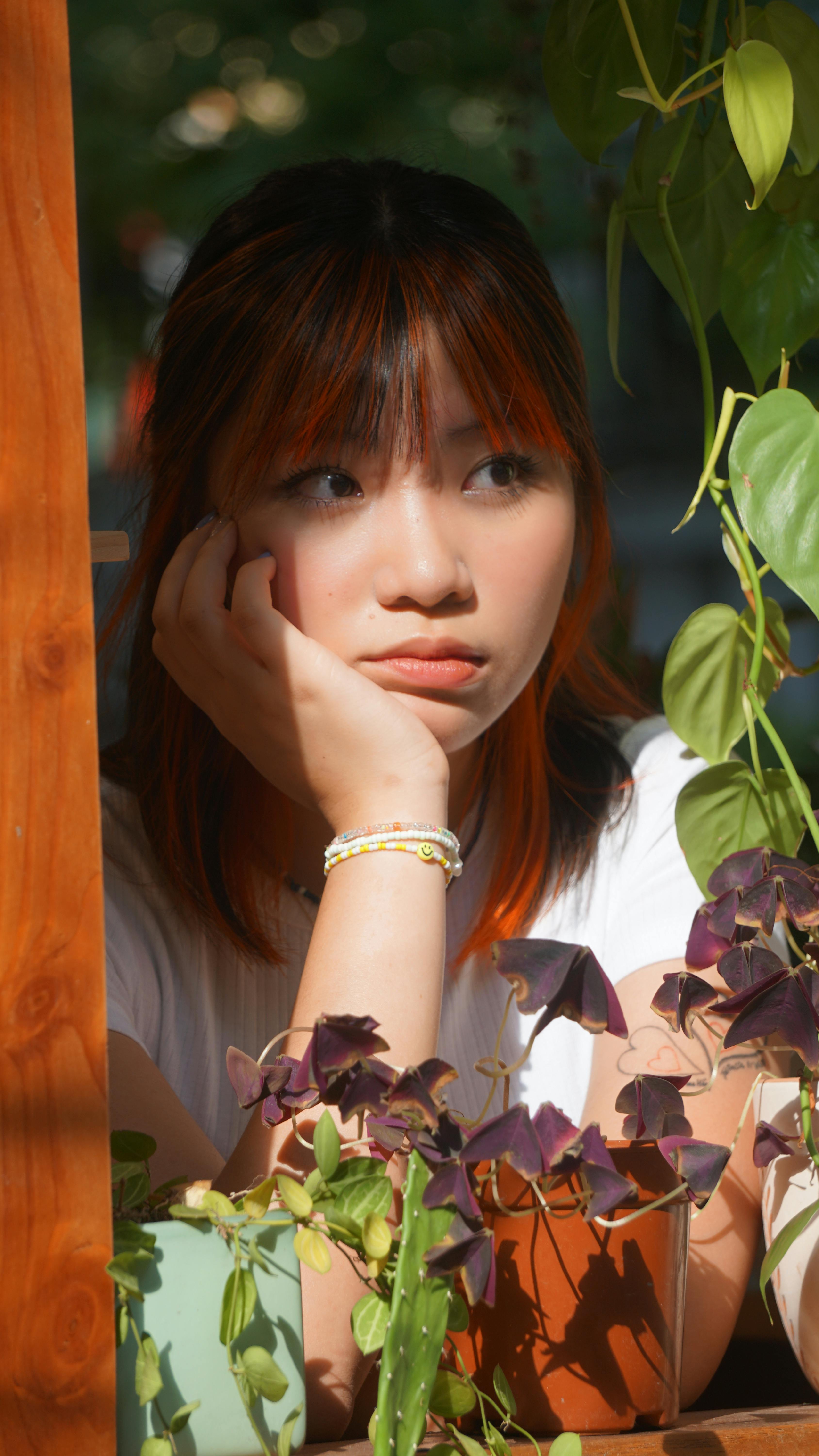 Potting At Photos, Download The BEST Free Potting At Stock Photos & HD Images