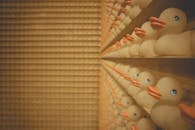 Lined Up of Rubber Duck on Shelf