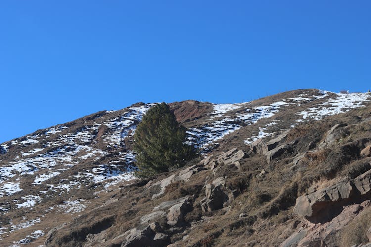 Snow, Rocks And Single Tree On Hill