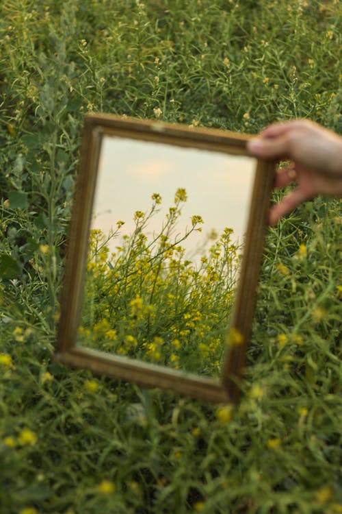 Gratis lagerfoto af bane, hænder menneskelige hænder, hakket