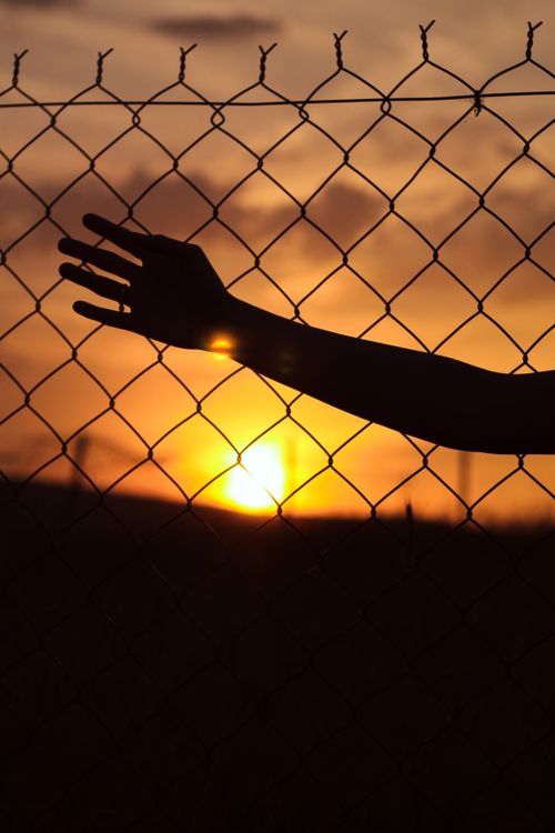 Free A striking silhouette of a hand on a chain-link fence against a warm sunset. Stock Photo