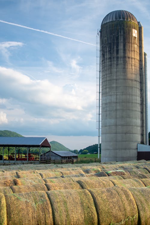 Bales of Hay on the Farm Next to the Grain Silo