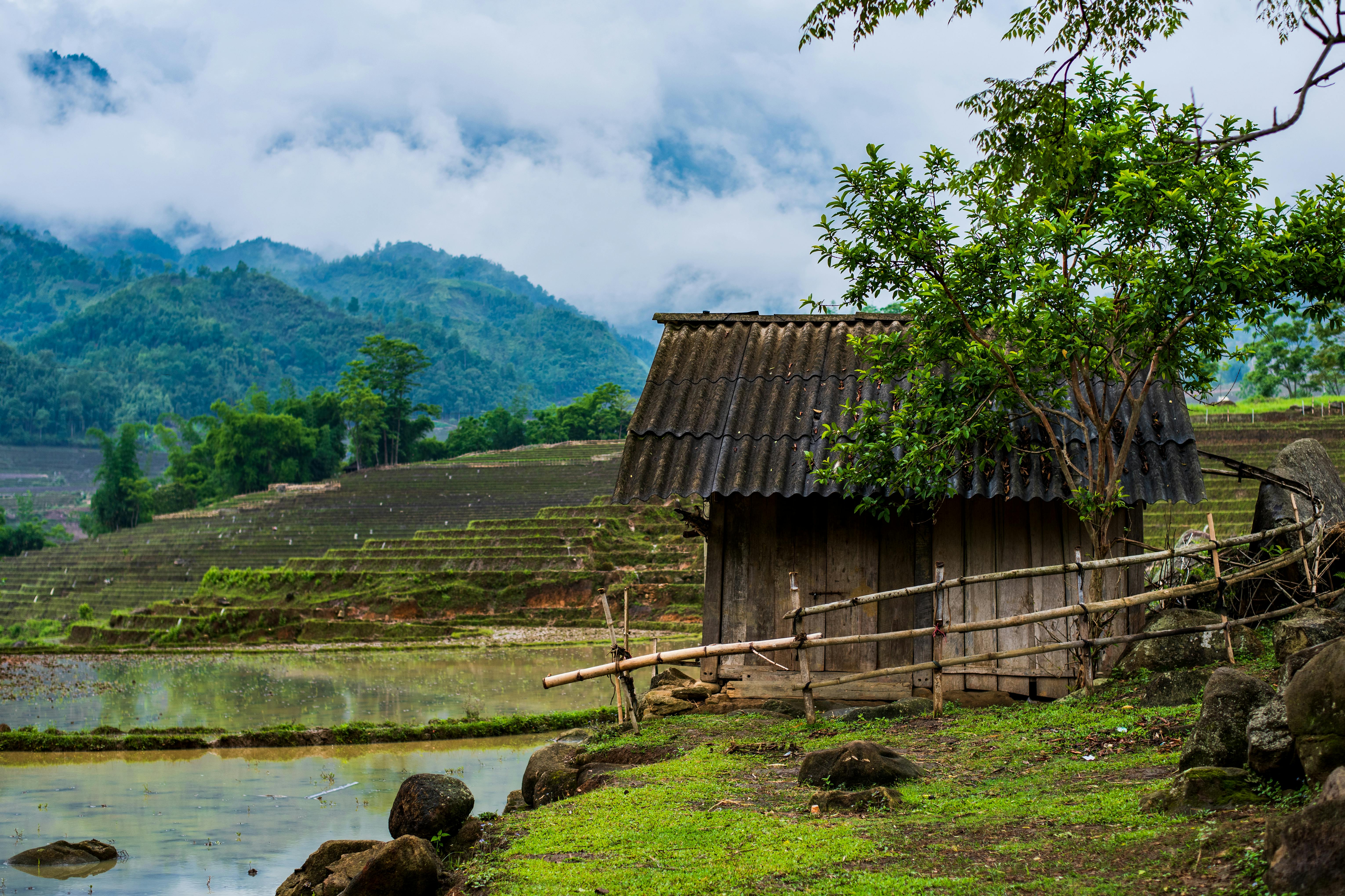 A rustic wooden shed in a serene countryside landscape with terraced fields and misty mountains.