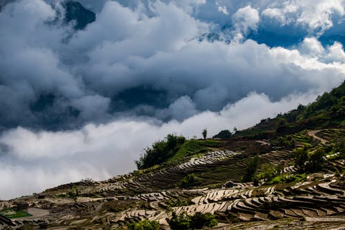 天氣, 山丘, 灰濛蒙 的 免费素材图片