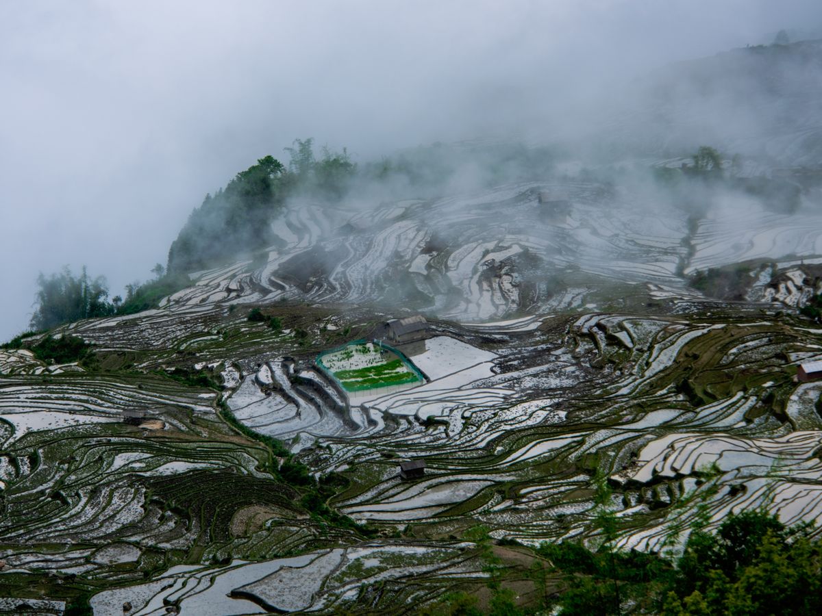 10 Day Himalayan Yoga Expedition In India 1