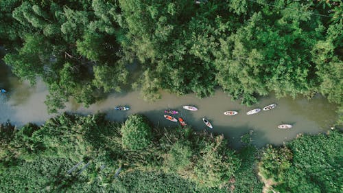 Foto stok gratis fotografi udara, hutan, kayak